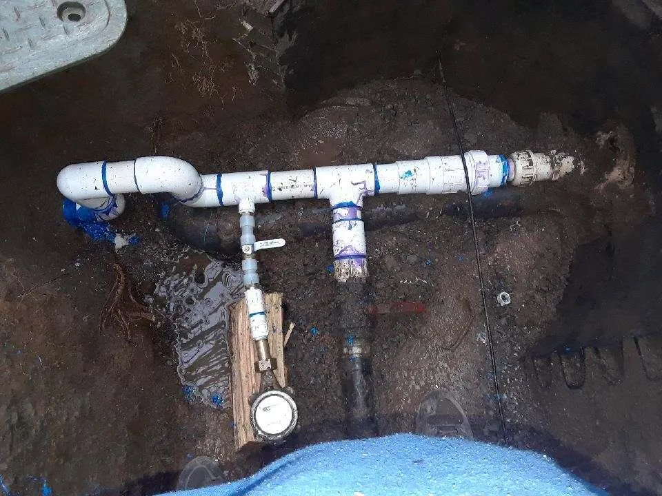 Is Immediate Action Needed for a Sewage Backup?