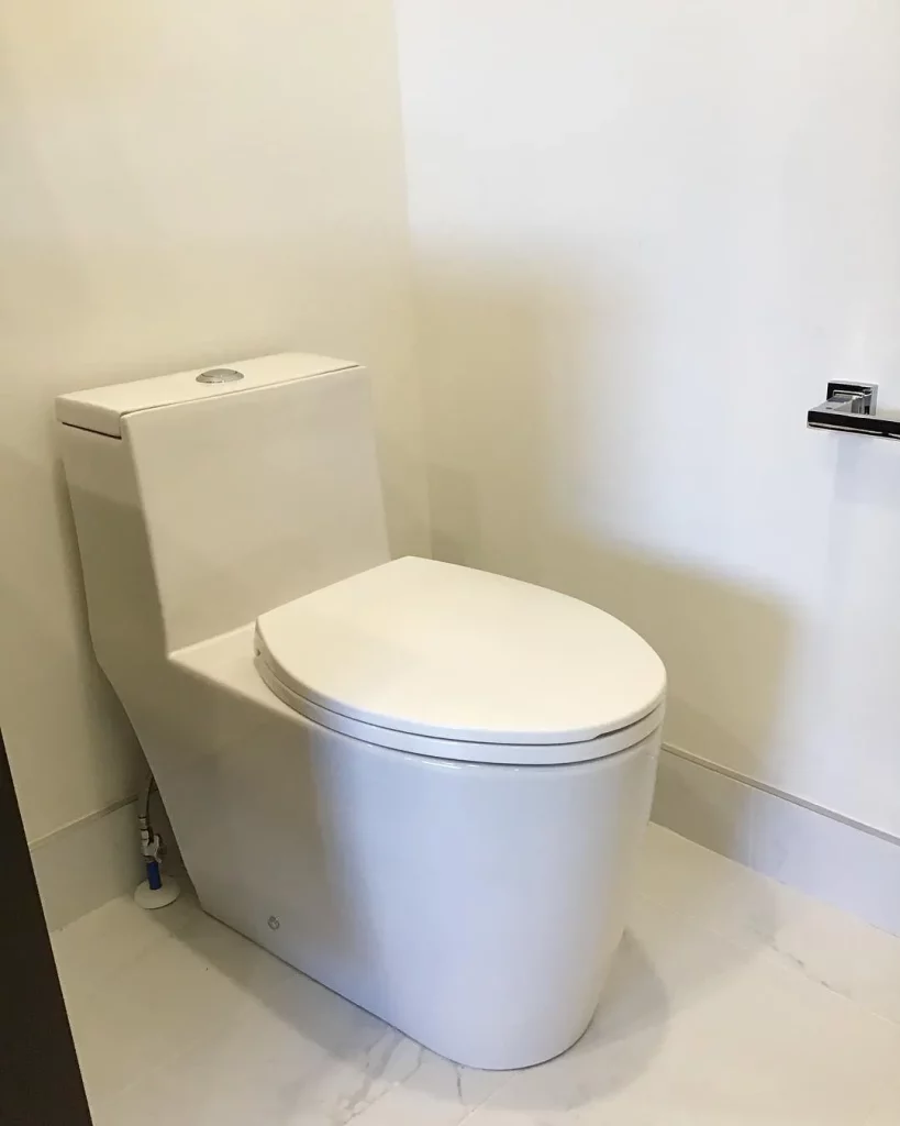 Toilet Water Supply Line Leak Repair