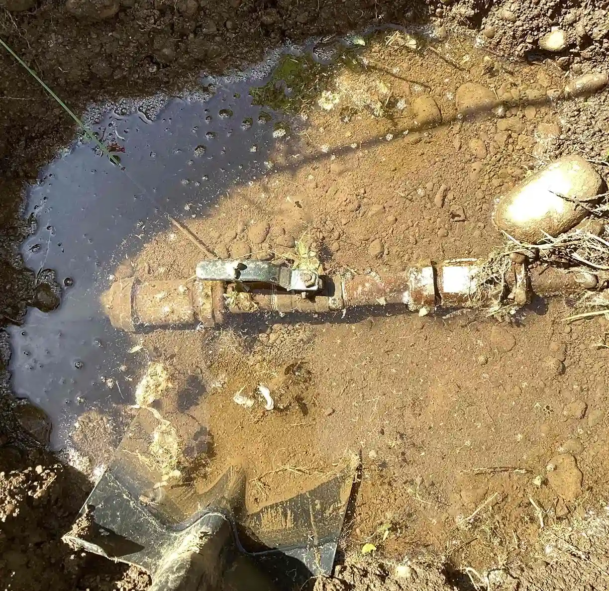 What Are the Dangers of Ignoring Small Plumbing Leaks – Simpson Plumbing What Happens If You Ignore Small Plumbing Leaks?