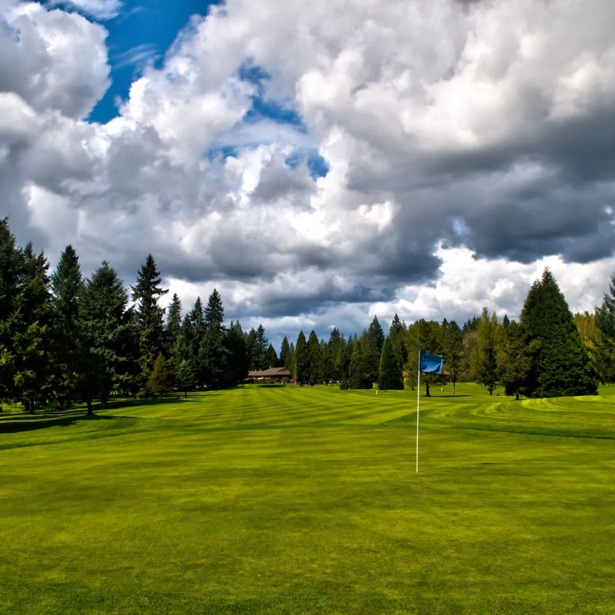 Cedars Golf Course in Battle Ground, WA