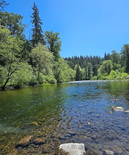 Lewisville Regional Park in Battle Ground, WA