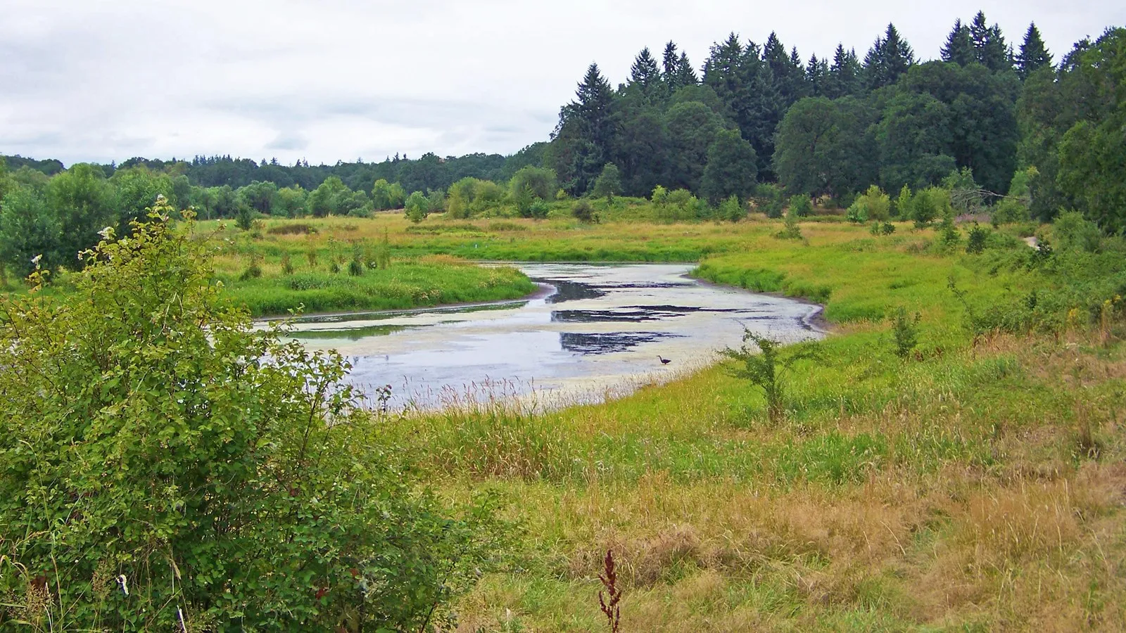 Ridgefield National Wildlife Refuge in Ridgefield, WA