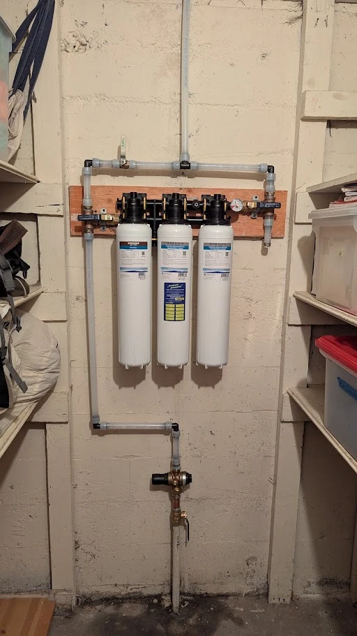 Silver Whole-Home Water Filtration System Cost Breakdown
