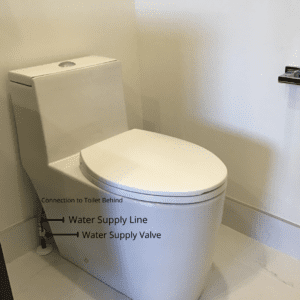 repair a leaking toilet