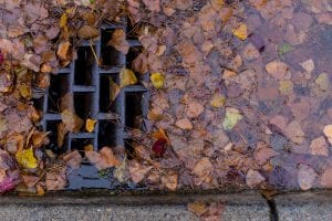 Leaves can block storm drains, leading to flooded streets.