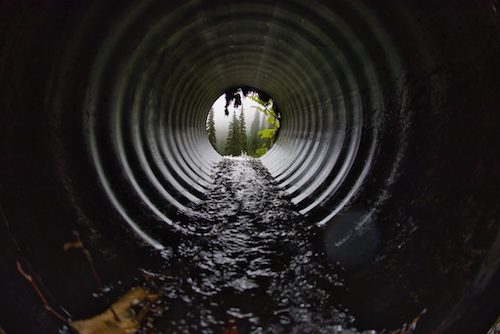 Camera image of a sewer scope